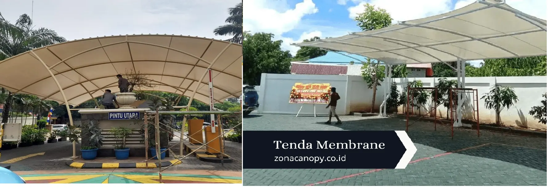 Canopy Membrane legok